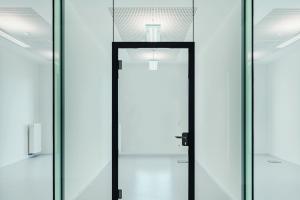 Цельностеклянная алюминиевая дверь